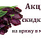 Акция с 1 по 11 мая!