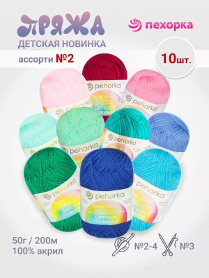 Набор пряжи Пехорка «Детская новинка» Ассорти 2 10 мотков разных цветов